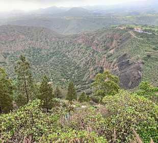 Inselrundfahrt Gran Canaria