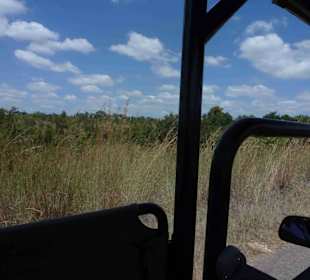 Krüger Nationalpark