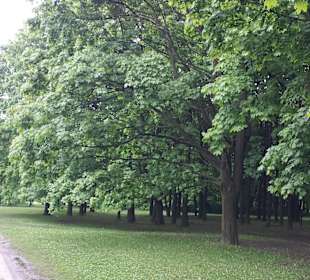 Park