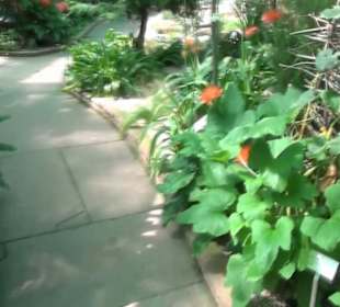 Afrikanische Landschaften