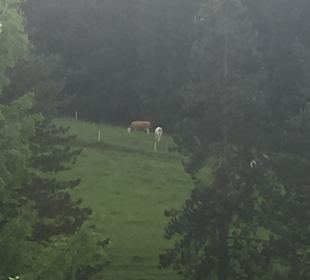 Wandern Oberstaufen