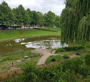 Im Park vor der Promenade