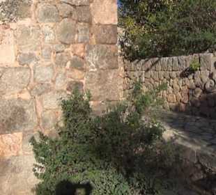 Garten "Turm der Araber"