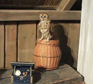 Aschenbrödels Schätze