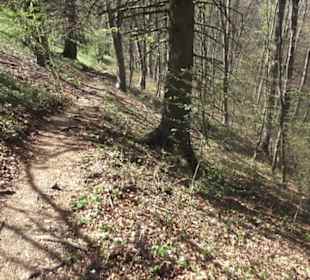 Wanderweg Hochgehkämpft