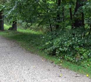 Schlosspark Nymphenburg