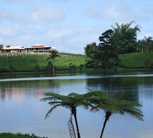 Teechallet bei Teefabrik hier kann Tee probiert werden