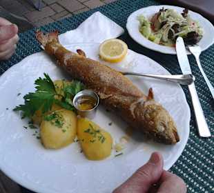 Saibling im Zipfhäusl