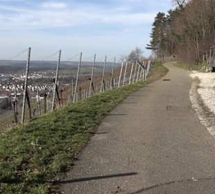 Weinerlebnisweg