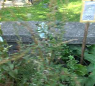 Kräutergarten Engelhalde