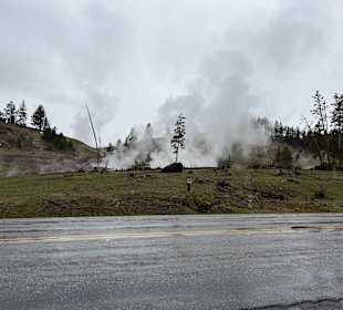 Yellowstone Nationalpark