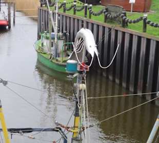Hafen Hooksiel