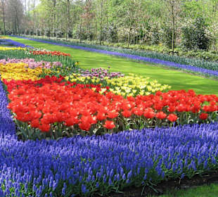 Blumen, so weit das Auge blickt