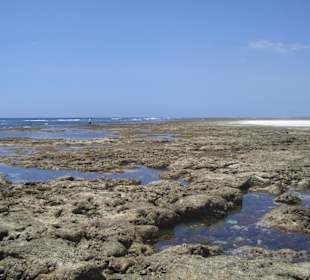 Ausflug Glasbodenboot Diani Beach