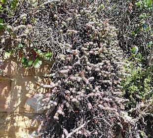 Aussichtspunkt Knysna