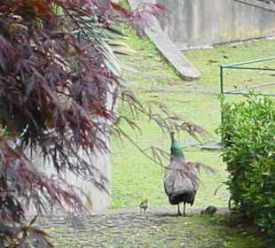 Familienausflug