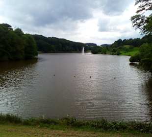 Ohmbachsee Tour in Rheinland-Pfalz
