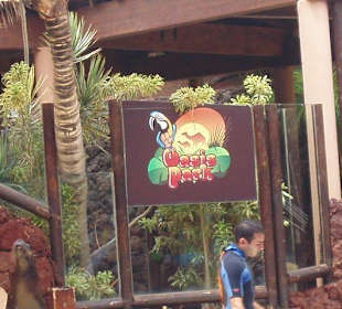 Das Oasis Park Logo