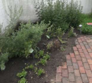 Apothekergarten