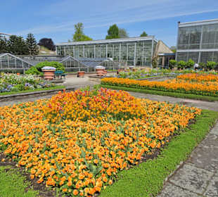 Spaziergang durch den Berggarten Hannover