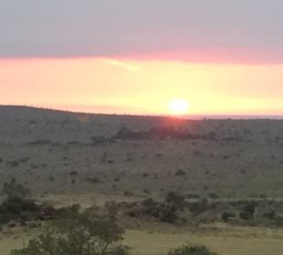 Rihno Vally vom Zimmer