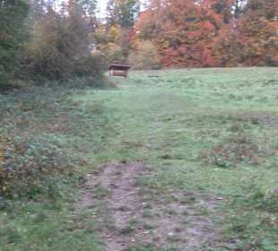 Schaukel auf den Knaupwiesen