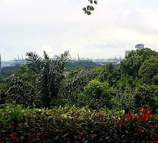 Ausblick