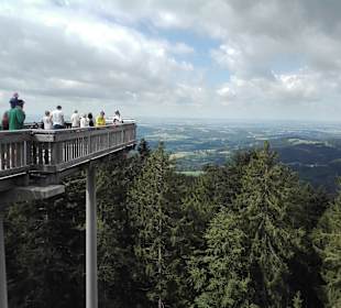 Waldwipfelweg St Englmar/Maibrunn