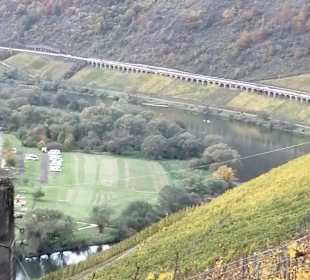 Wandern Burg (Mosel)