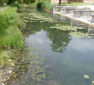 Forellenbächle