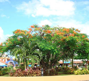 Plaza del Sol, Benito-Juarez-Park