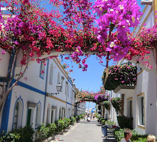 Blumen an jeder Ecke