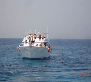 Delphine gabe es auch zu sehen..