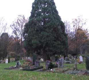 Bergfriedhof