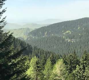 Blick vom Rennsteiggarten