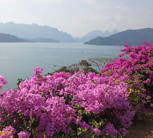 Bootstour Phang Nga