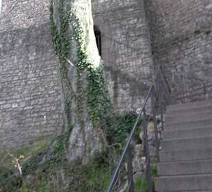 Altes Schloss Hohenbaden