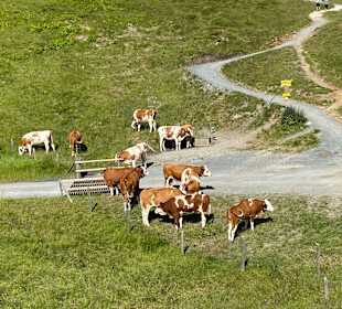 Wandern Ellmau am Wilden Kaiser