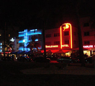 Nightlife  Ocean Drive