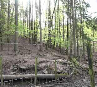 Walderlebnisweg Rottenburg