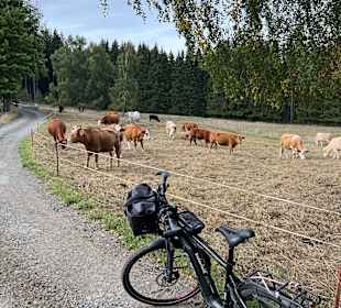 Wandern Bad Brambach