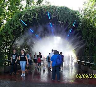 - Europa Park -
