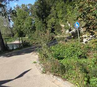 Schaukelweg an der Donau