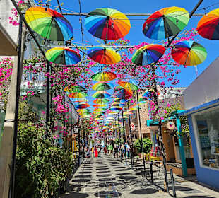 Wandern Puerto Plata