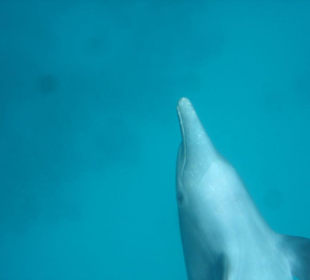Wunderschöner Ausflug mit SimSim Reisen