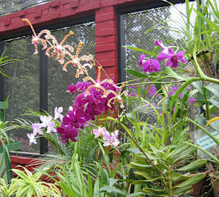 Botanischer Garten