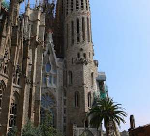 Sagrada