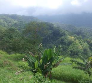 Pura Vida Nationalpark