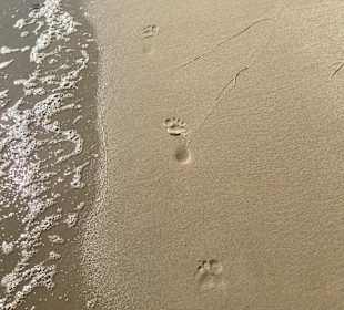 Strand Sellin auf Rügen