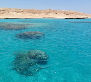 The beautiful red sea